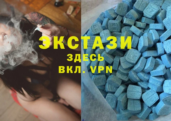 индика Карпинск