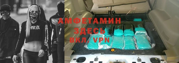 индика Карпинск