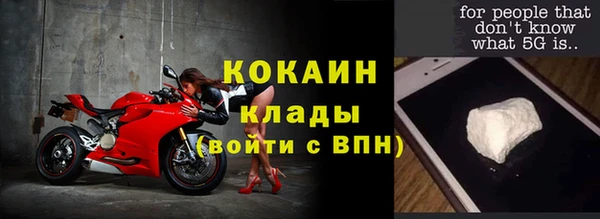 индика Карпинск