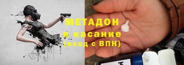 индика Карпинск