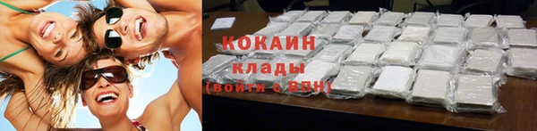 индика Карпинск