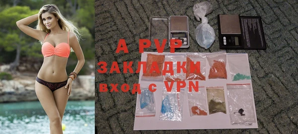 прущие грибы Дубовка