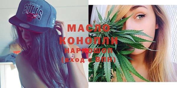 индика Карпинск