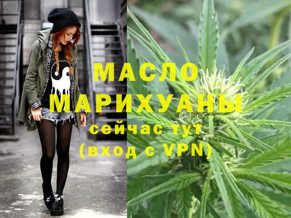 индика Карпинск