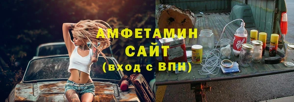 индика Карпинск