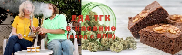 индика Карпинск