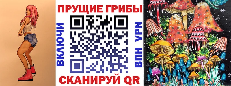 Купить  Камешково  Галлюциногенные грибы Magic Shrooms 